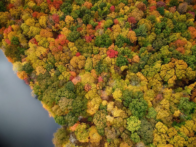 Mianus River State Park Scenic Reserve photo 4