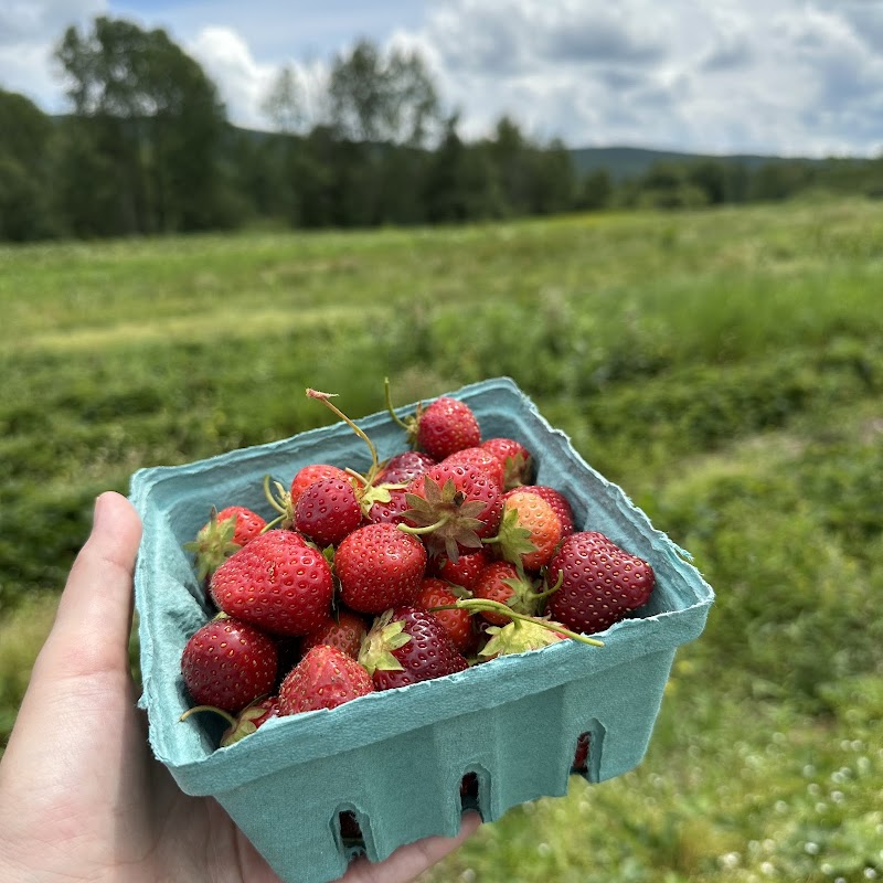 Middlefield Orchard photo 2