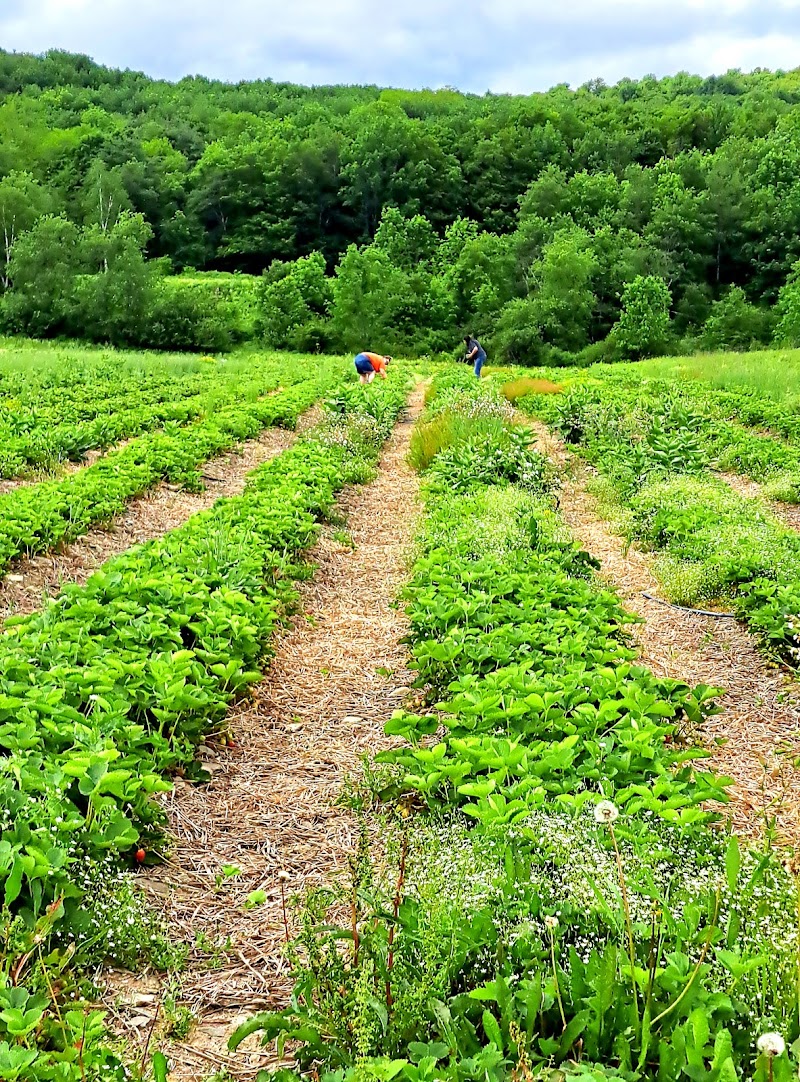 Middlefield Orchard photo 3