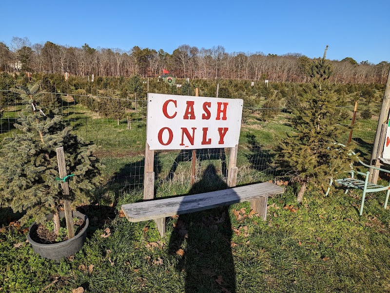 Mike's Christmas Tree Farm photo 3