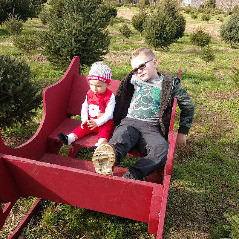 Mike's Christmas Tree Farm photo 4