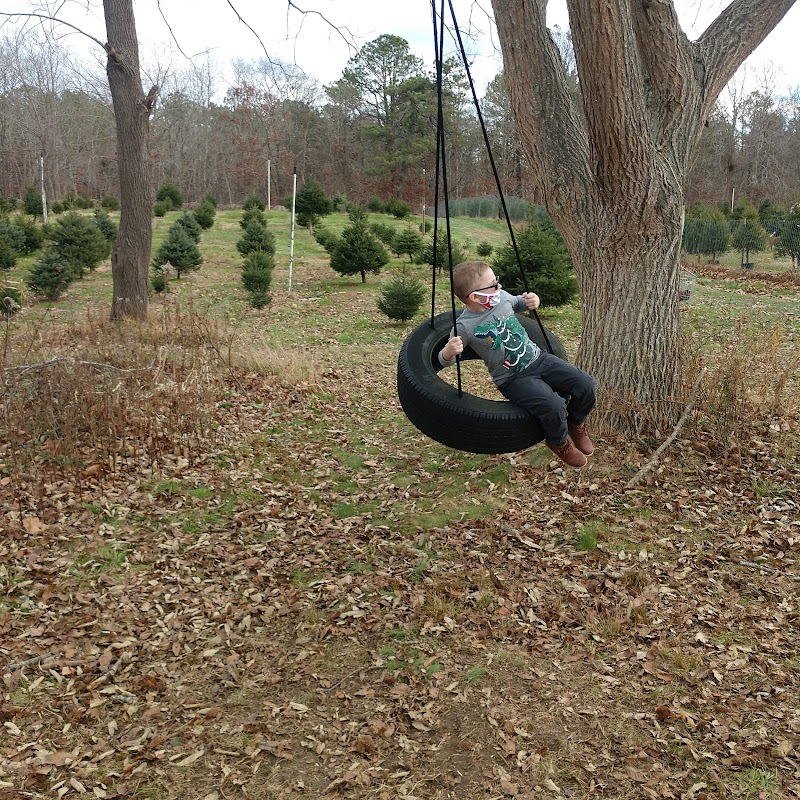 Mike's Christmas Tree Farm photo 5
