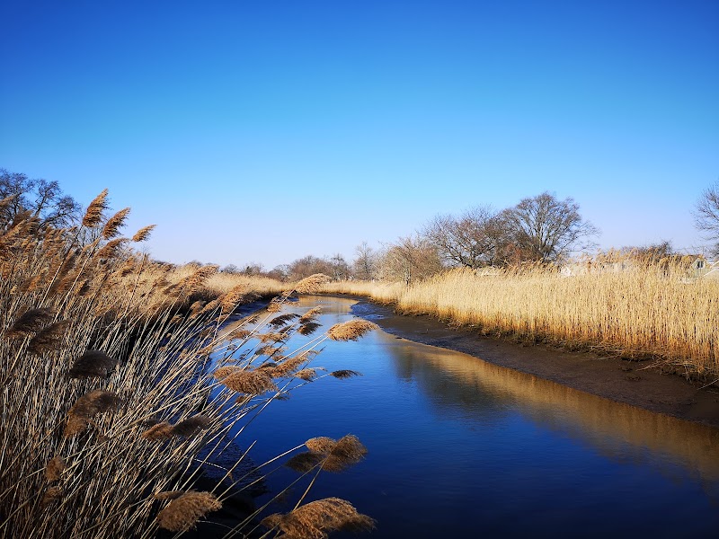 Milburn Creek Park photo 4