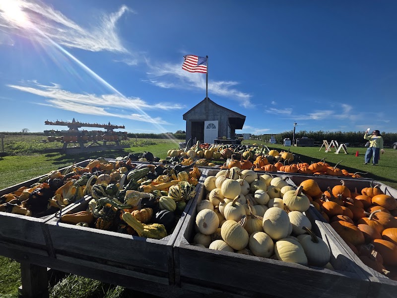 Milk Pail U-Pick Farm photo 3
