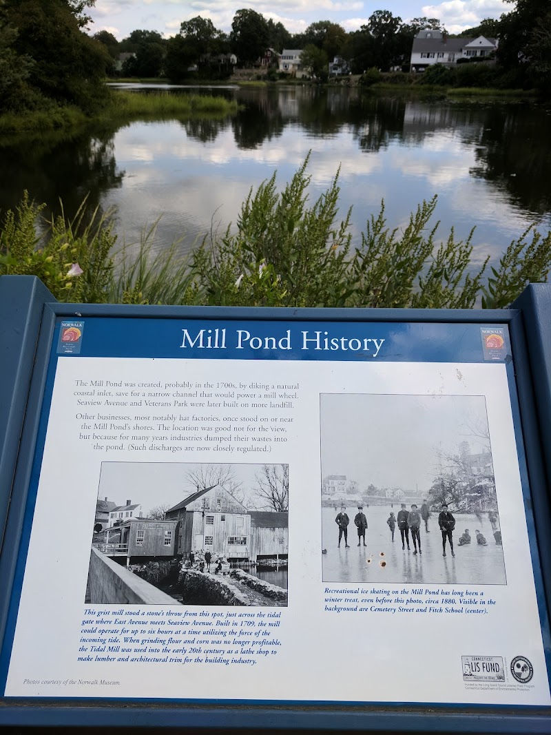 Mill Pond Park photo 2