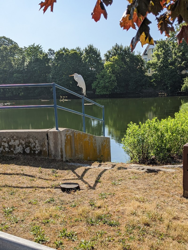 Mill Pond Park photo 3