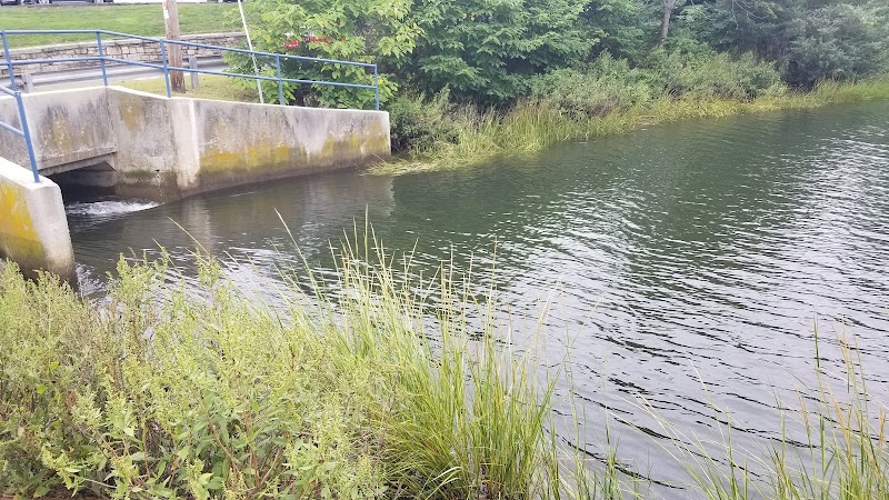 Mill Pond Park photo 4