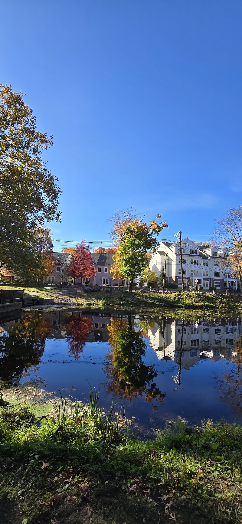 Mill Pond Park photo 5