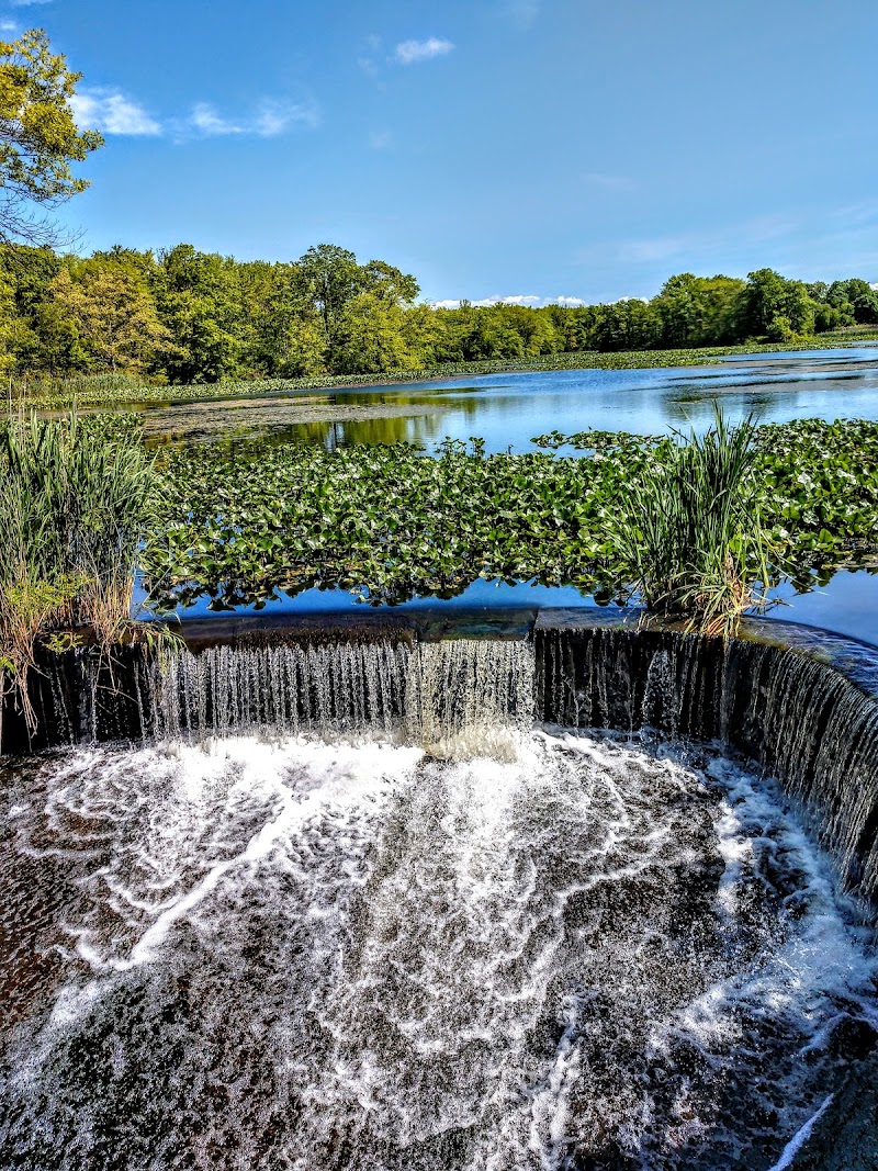 Mill Pond Preserve Wantagh photo 2