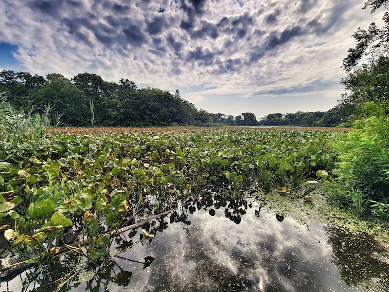 Mill Pond Preserve Wantagh photo 4