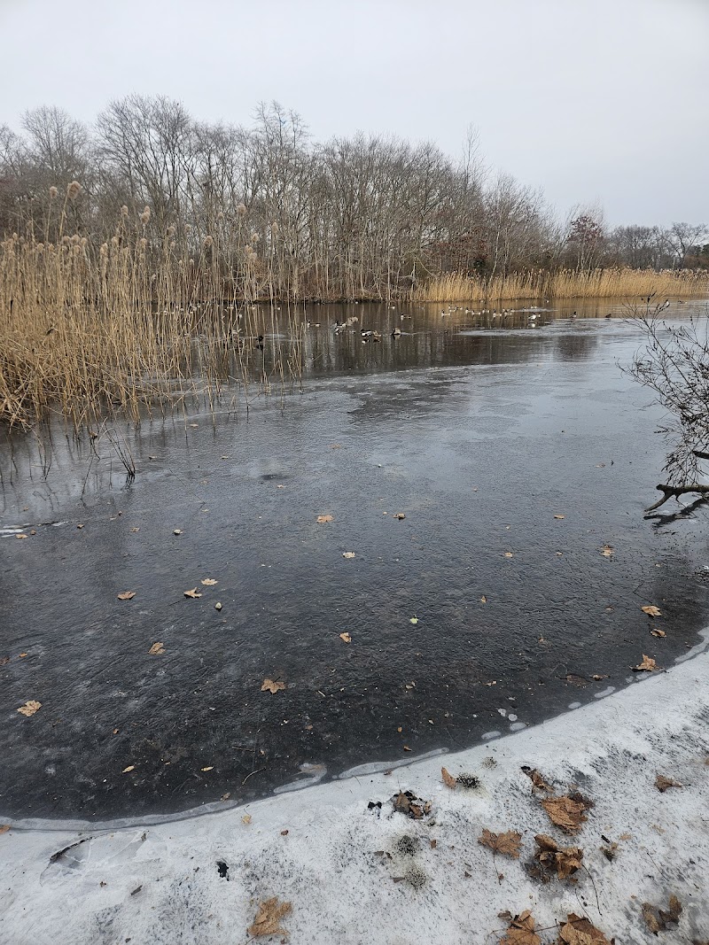 Mill Pond Preserve Wantagh photo 5
