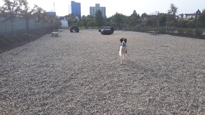 Mill River Bark Park photo 3