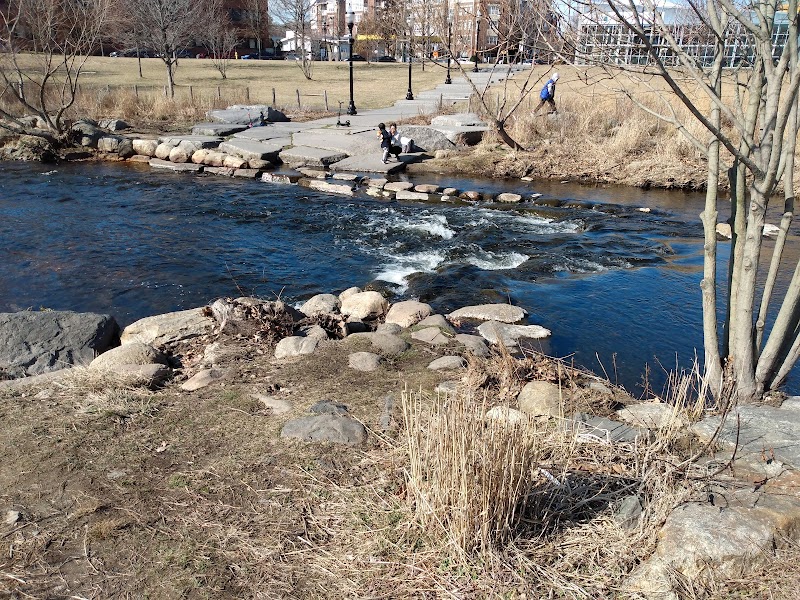 Mill River Bark Park photo 5