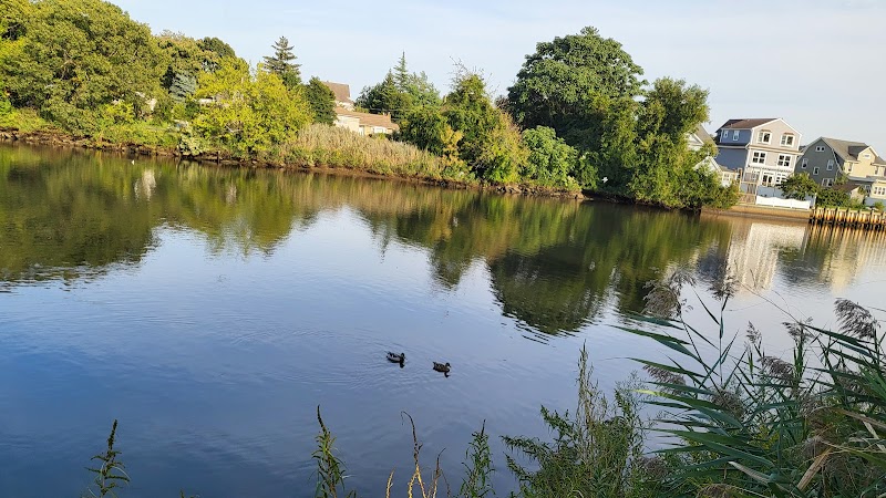 Mill River Complex Park photo 3