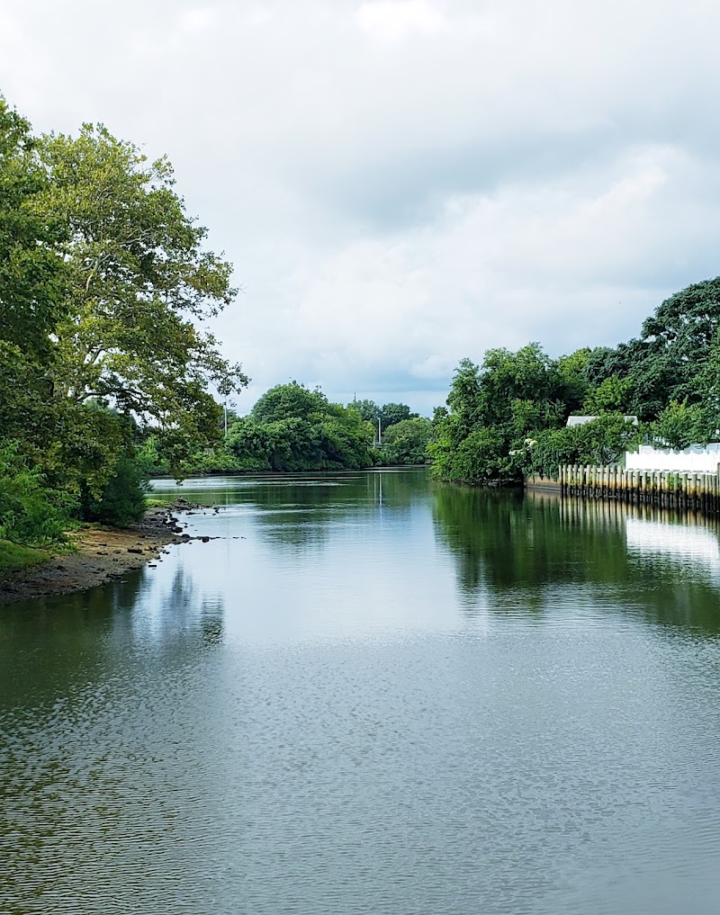 Mill River Complex Park photo 5
