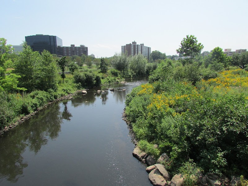 Mill River Park photo 4