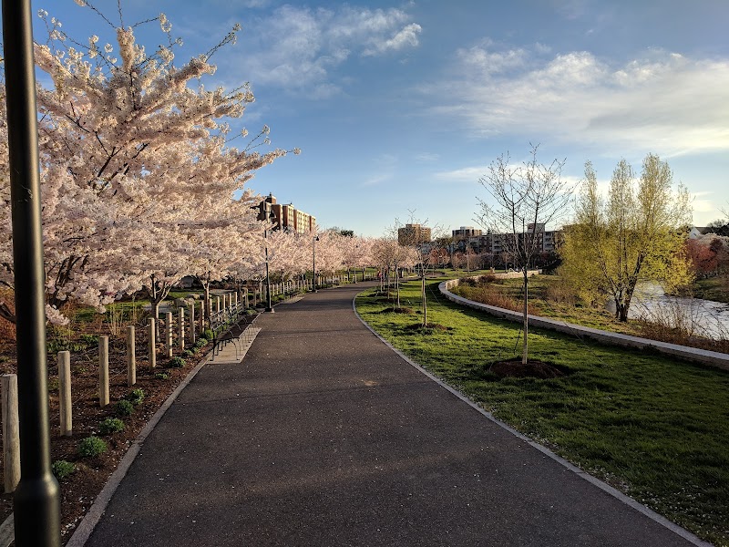 Mill River Park photo 5
