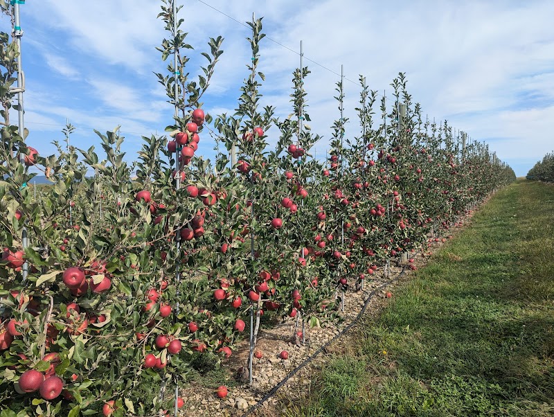 Minard's Family Farm photo 3