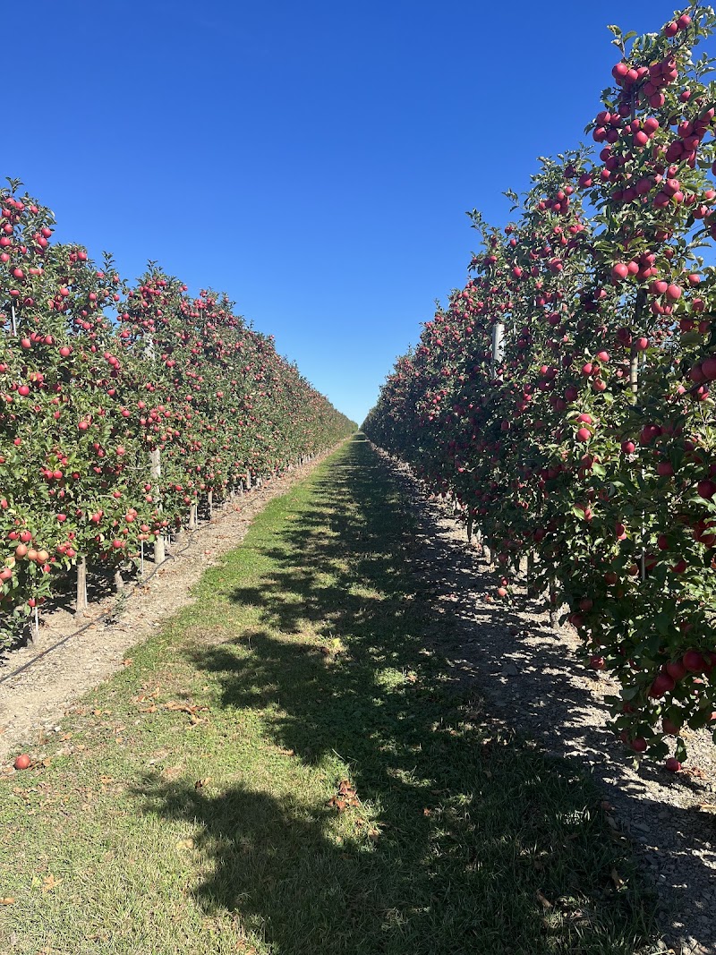 Minard's Family Farm photo 4