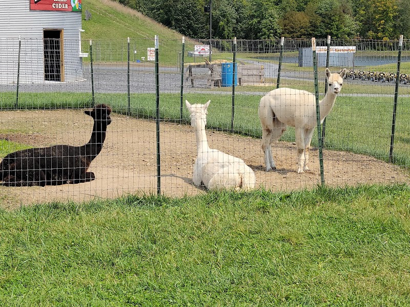 Minard's Family Farm photo 5