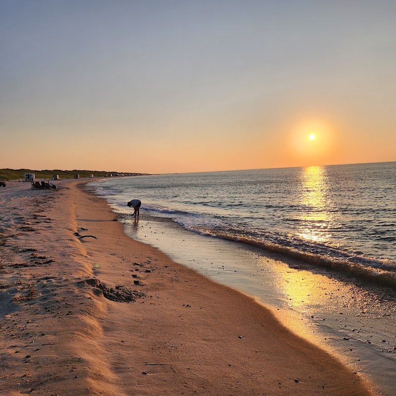 Montauk County Park photo 2
