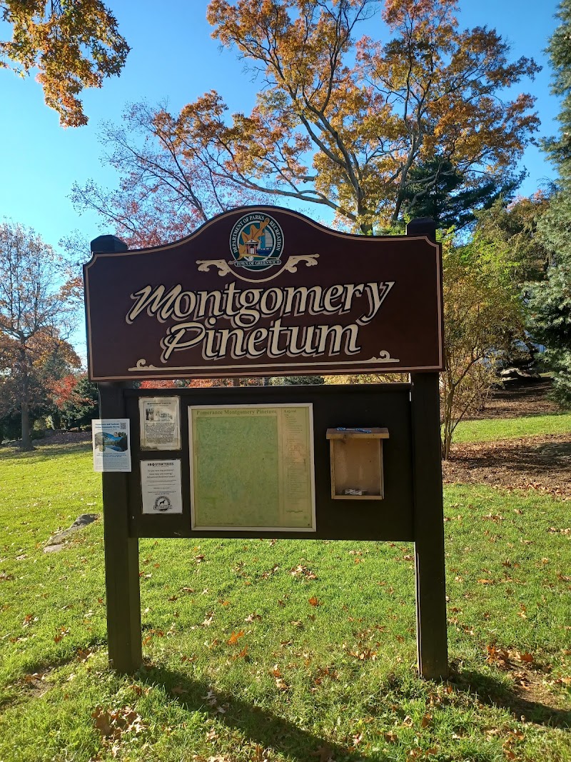 Montgomery Pinetum photo 2