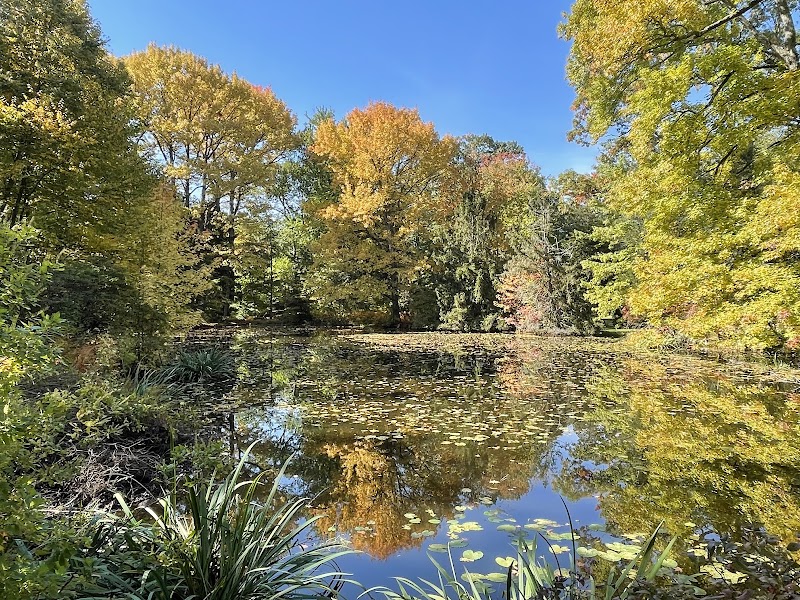 Montgomery Pinetum photo 4