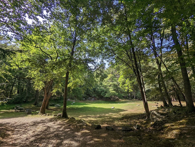 Montgomery Pinetum photo 5
