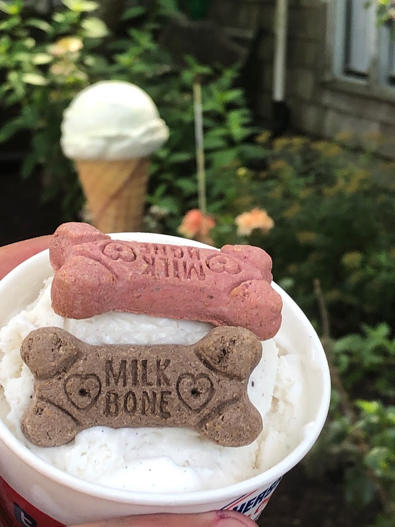 Moo Moo's Ice Cream photo 2