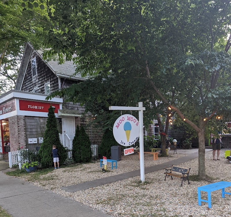 Moo Moo's Ice Cream photo 4