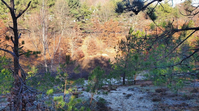 Morewood Park photo 2