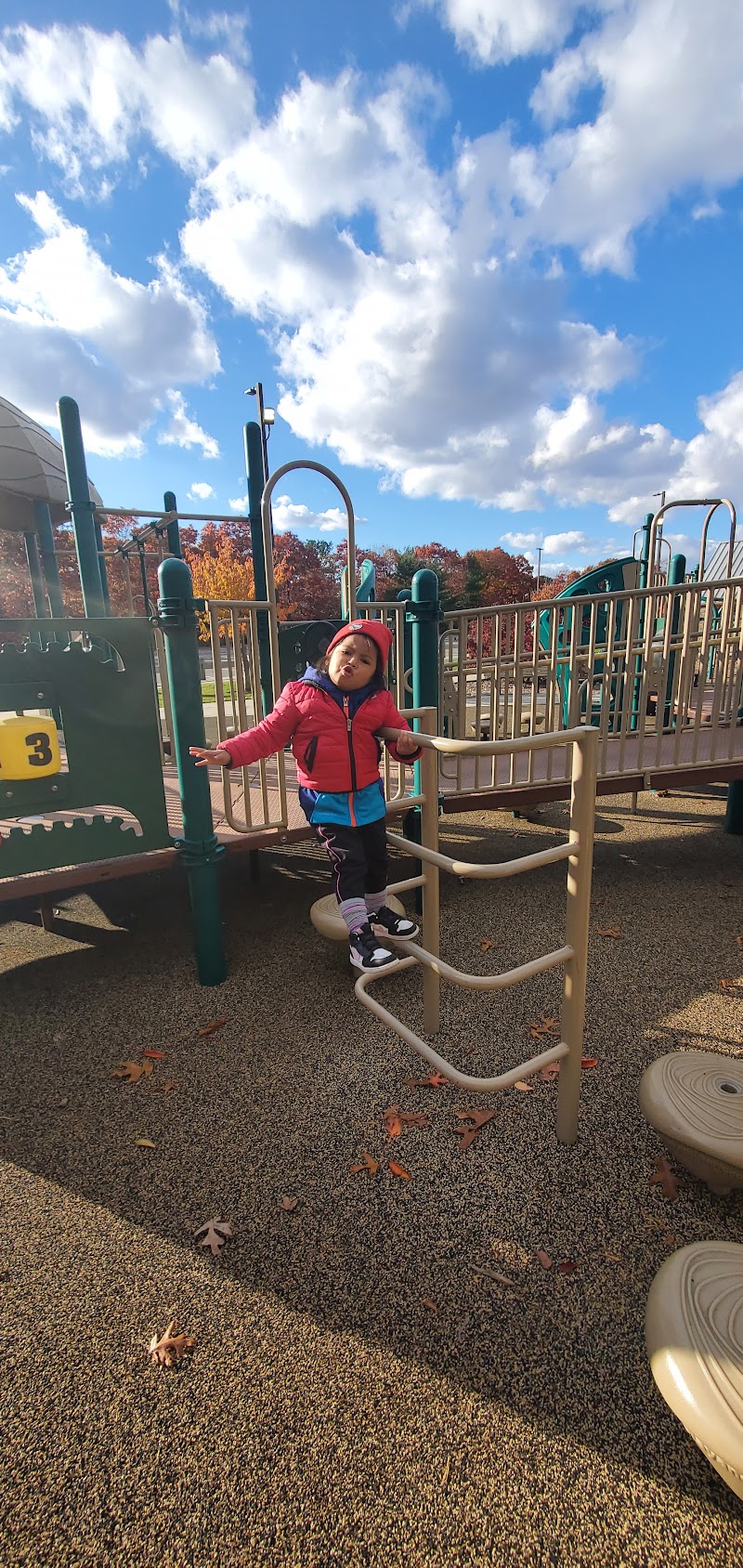 Moriches Sports Complex Playground - Rubber Mat photo 3