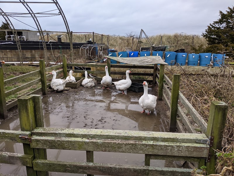 Multi Aquaculture Systems photo 5