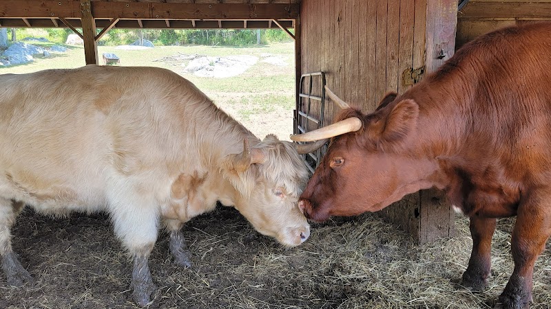 Muscoot Farm photo 2