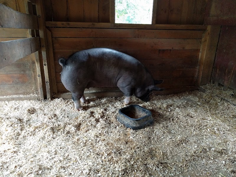 Muscoot Farm photo 3