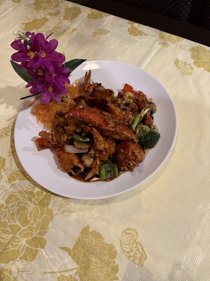 Mushroom Chinese & Japanese Restaurant photo 5