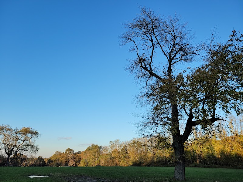 Muttontown Preserve Equestrian Center photo 2