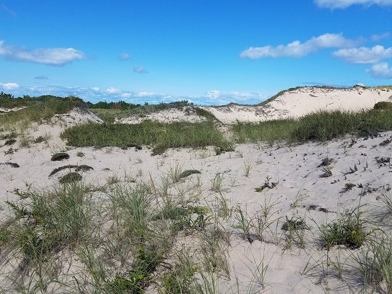 Napeague State Park photo 2