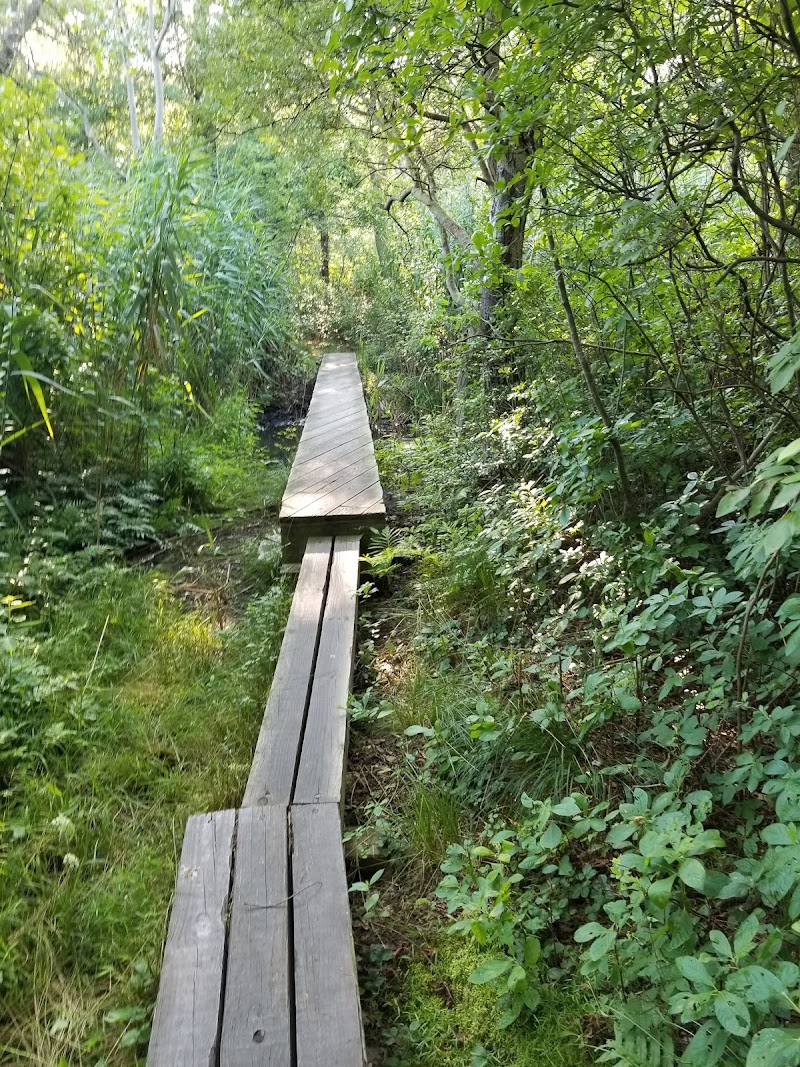 Nassau-Suffolk Greenbelt Trail photo 1