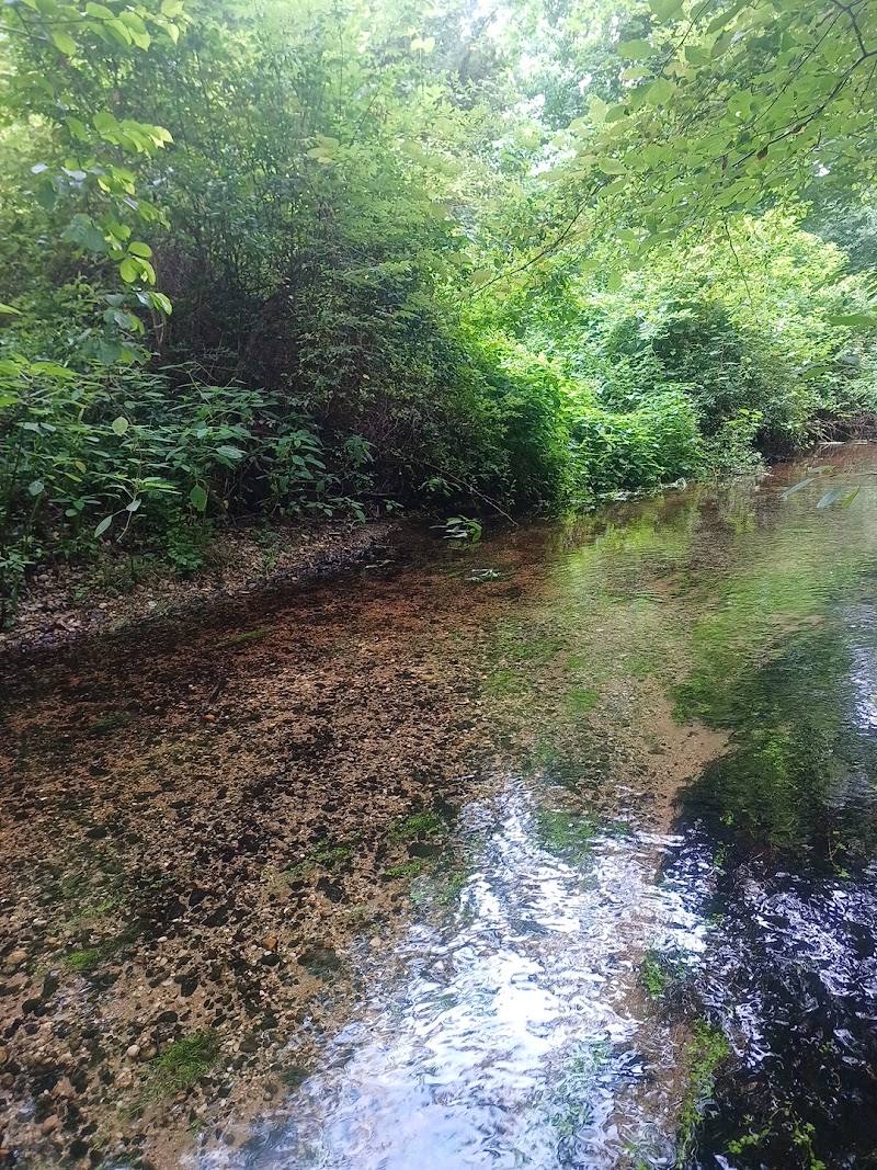 Nassau-Suffolk Greenbelt Trail photo 5