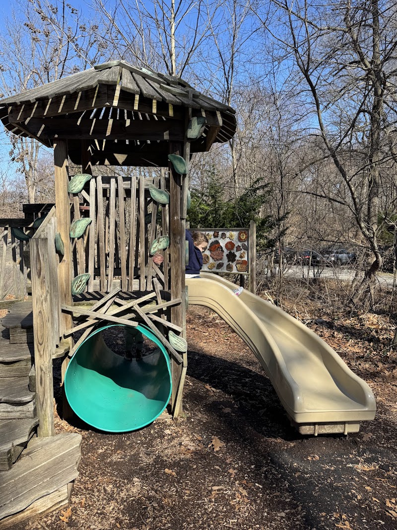Nature's Discovery Playground photo 2
