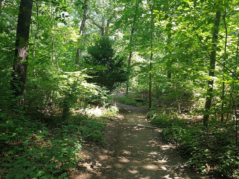 Nature Trail photo 4