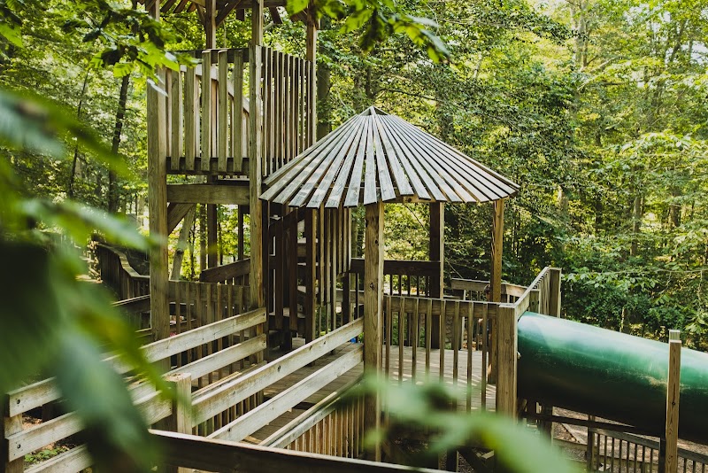Nature’s Playground photo 4
