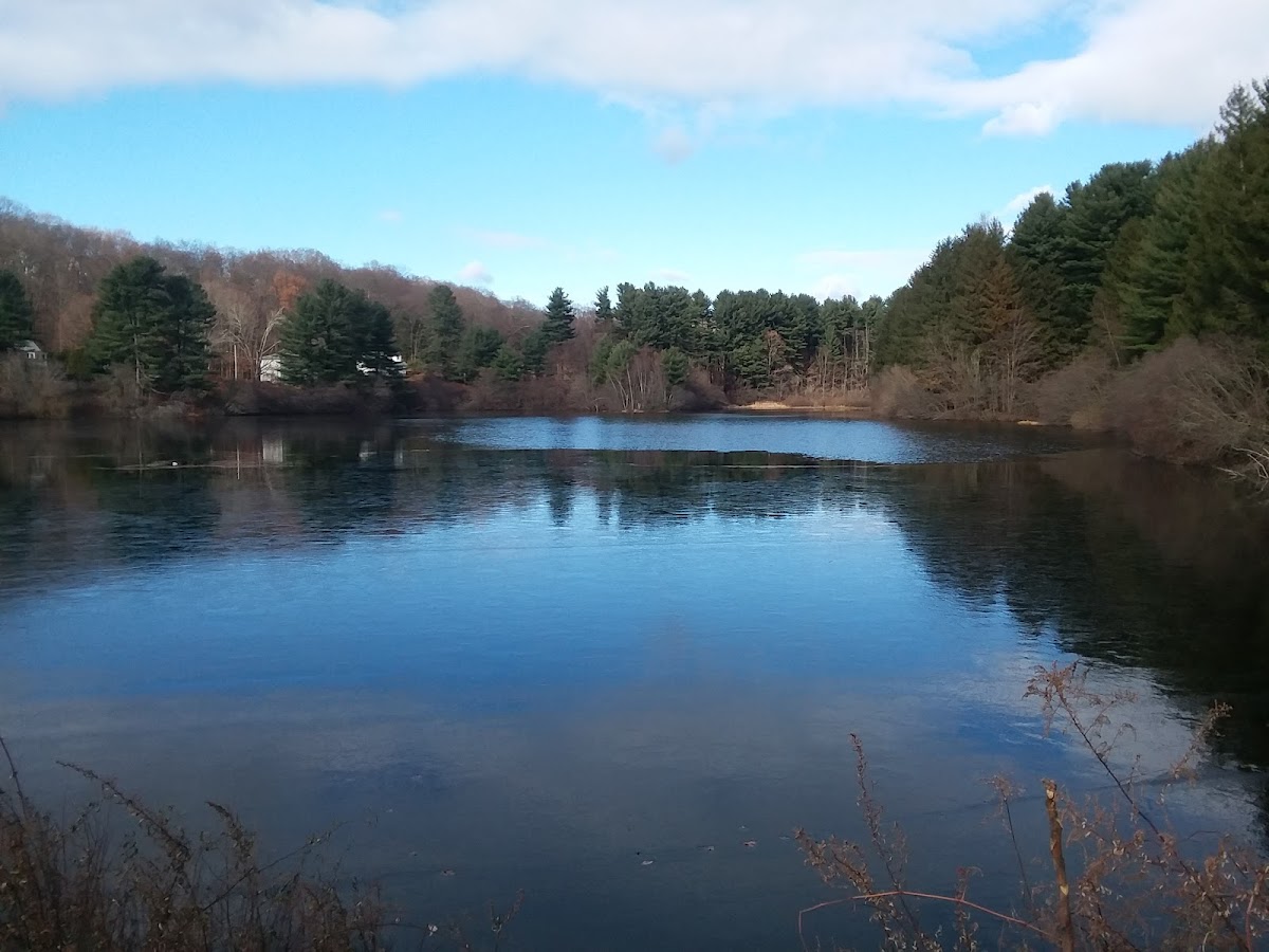 Naugatuck State Forest Quillinan Reservoir Block photo 1