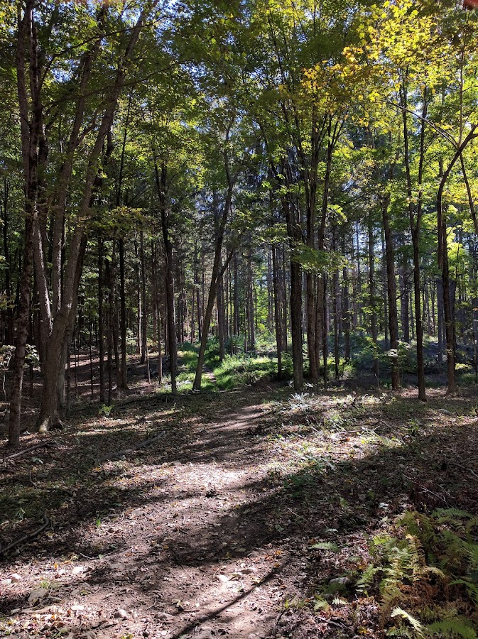 Naugatuck State Forest Quillinan Reservoir Block photo 2