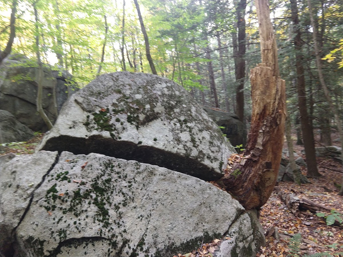 Naugatuck State Forest Quillinan Reservoir Block photo 3
