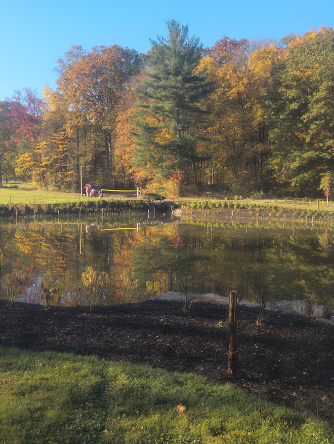 New Pond Farm Education Center photo 1