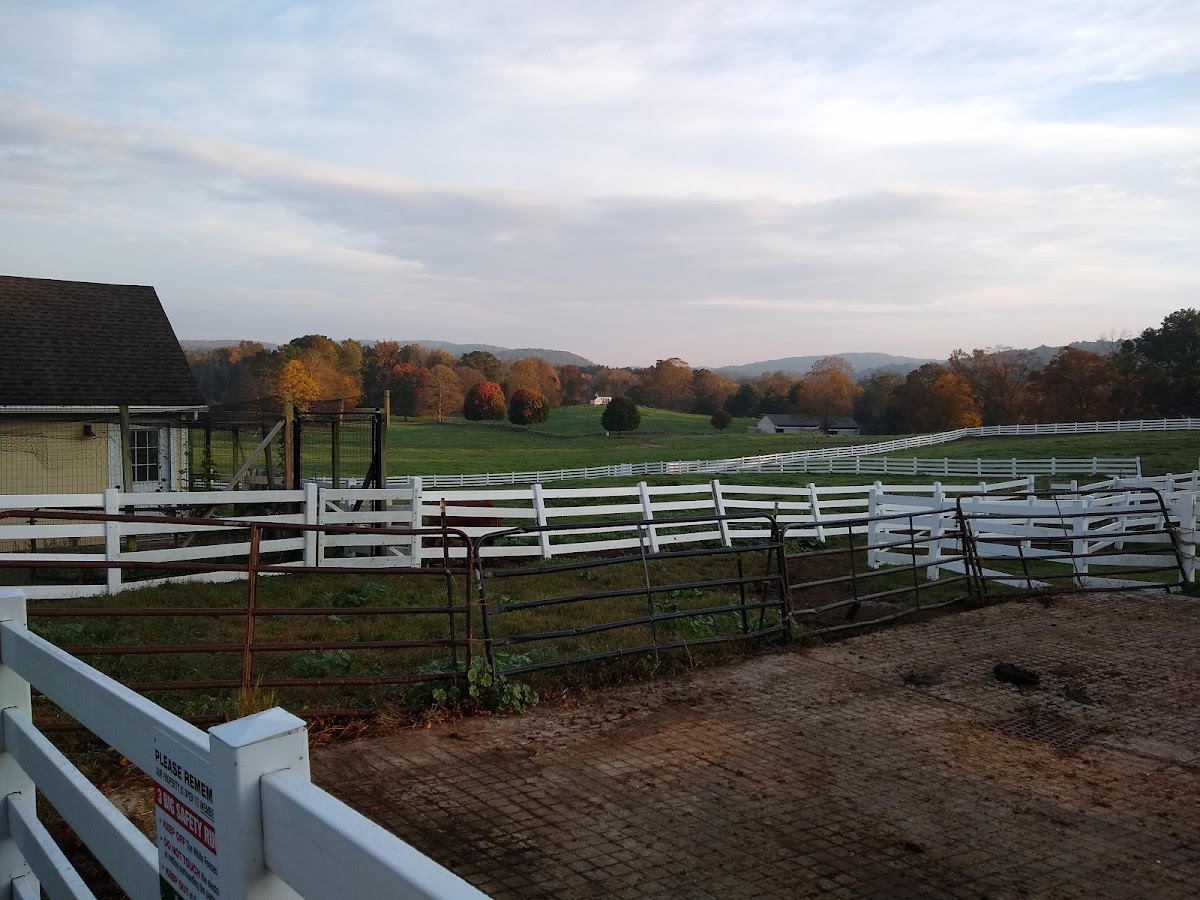 New Pond Farm Education Center photo 2