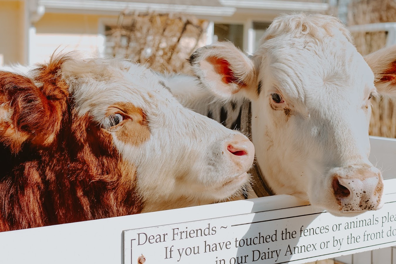 New Pond Farm Education Center photo 4