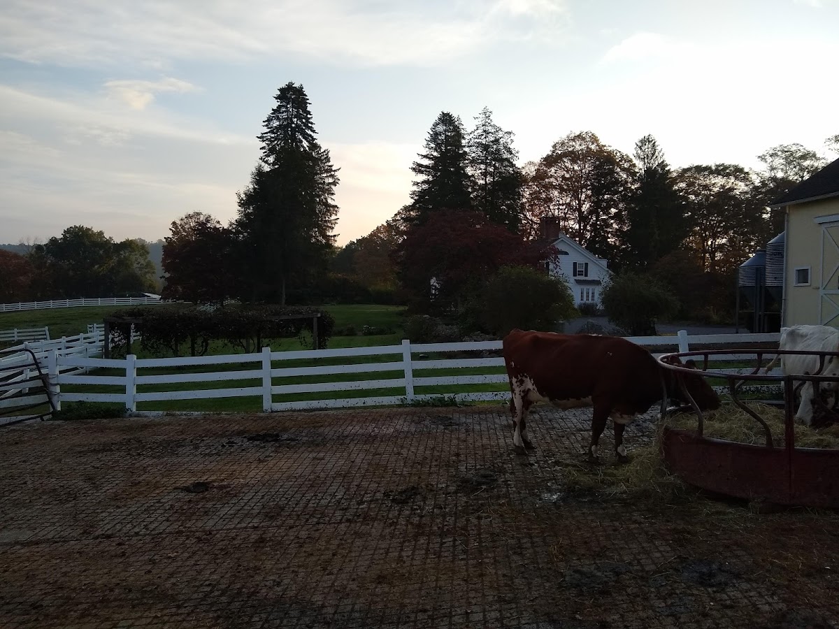 New Pond Farm Education Center photo 5